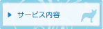 �T�[�r�X���e